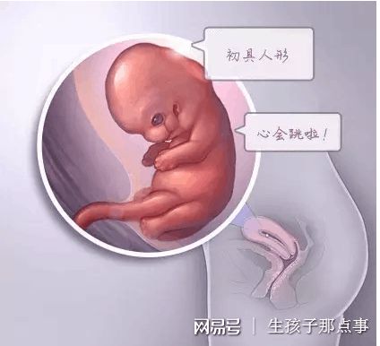 王医生